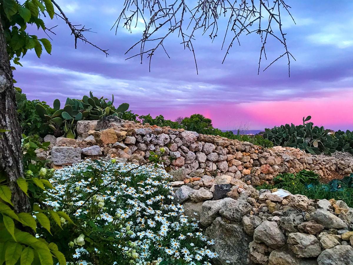 L'Gharix Temple Retreat Apartamento Xagħra Exterior foto